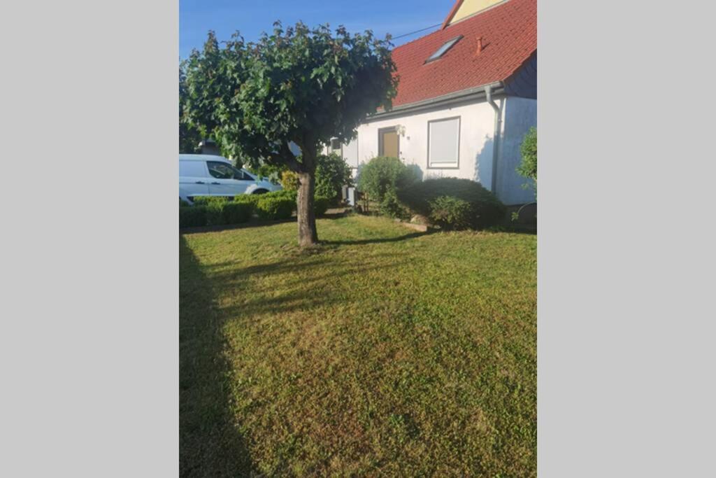 Wohnung Naehe Losheimer Stausee Niederlosheim Екстер'єр фото